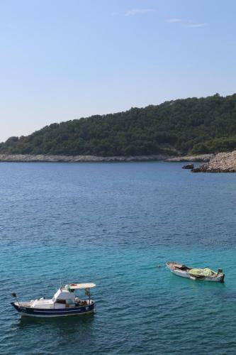Apartments Dragica