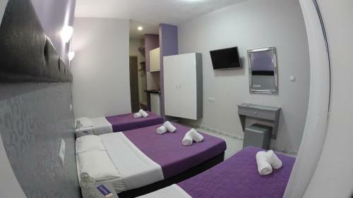 Hotel Erato