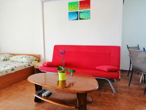 Apartments Brkovic