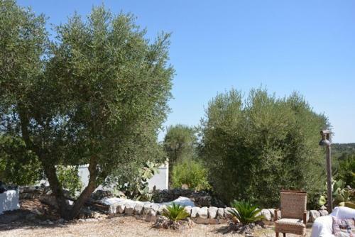Agroturismo Tenuta Trullo Alto