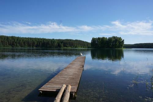 Lodge Domek W?siory