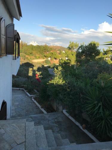 Villa Sopasina - Traditional Apartment