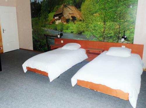 Posada H�tel La Truite