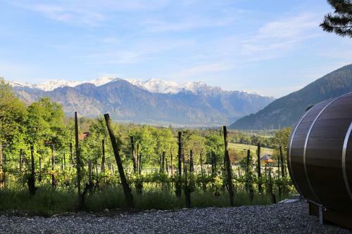 Bed & Breakfast Schlaf-fass Maienfeld