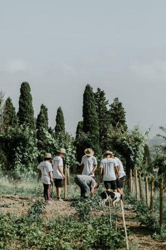 Apartamento The Sycamore House