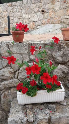 Apartamento Appartamento In Collina