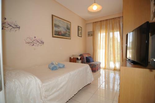 Apartamento Katia's House