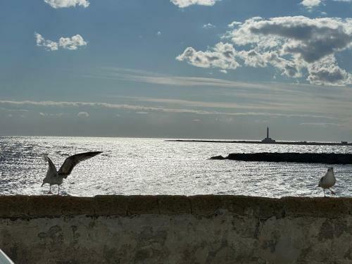 White Rooms Gallipoli