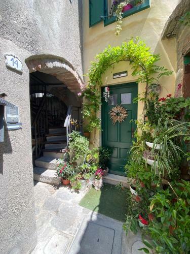 Apartamento Calle Lunga