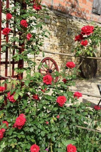 Bed & Breakfast La Chabotine
