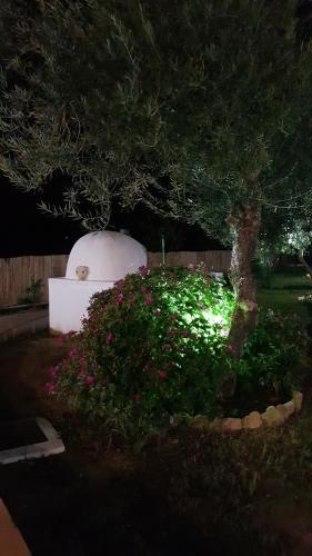 Agroturismo Higuera Santa Ana