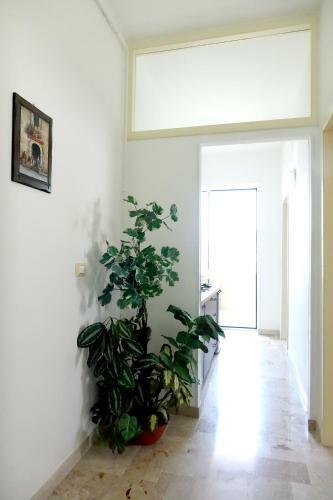Apartamento Don Nicola Residence