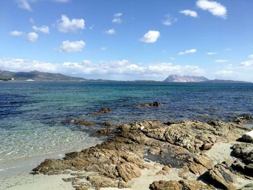 Apartamento Villino Cala D' Ambra San Teodoro
