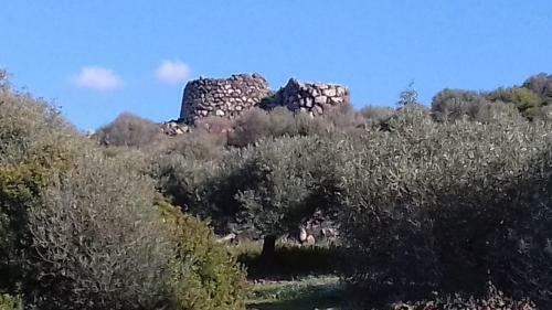Apartamento Casetta Tipica Sarda Sardegna Ovest