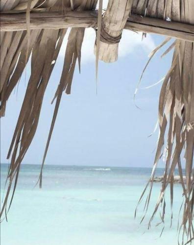 Apartamento Mansarda Azzurra