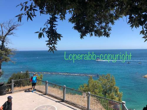 Bed & Breakfast L?oper�