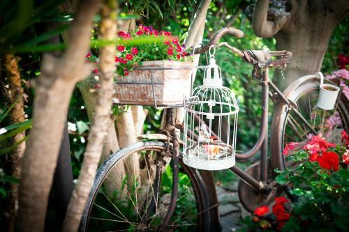 B&B Due Sorelle