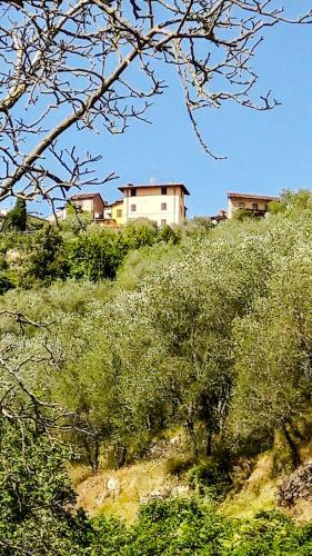 Antica Casa In Collina Con Vasta Terrazza E Panorama Sul Mare
