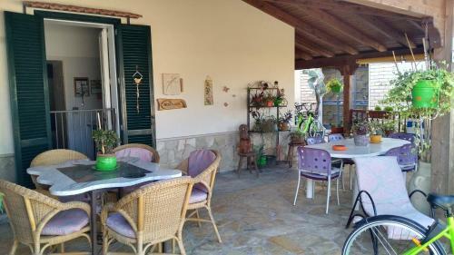 Apartamento Gecko's House
