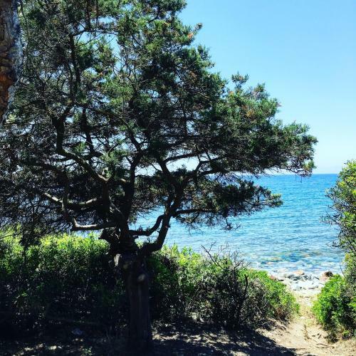 Apartamento Marina Bay Sardinia