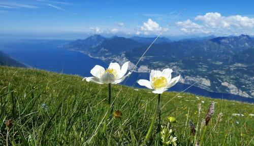 Albergue Hotel Monte Baldo