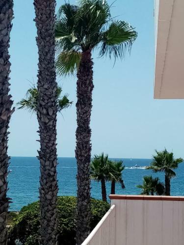 Apartamento Residence Frontemare 1-2-4 Piano Terra E Primo Piano