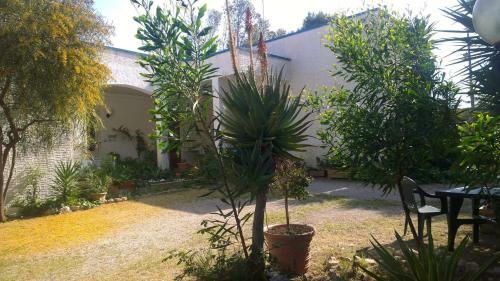 Agroturismo Agriturismo Palese