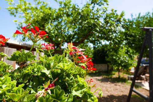 Apartamento Villa Scicchi