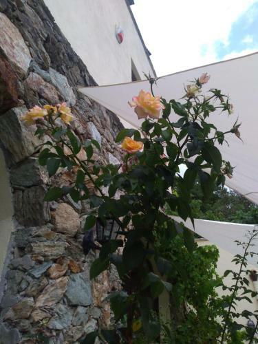 Posada Le Petit Chateau