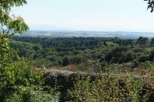 Hostal Ch�teau Moussoulens