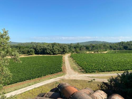 Domaine Piqueroque - Large Appartment