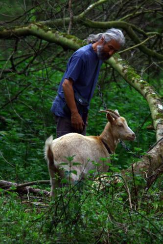 La Ferme Des Daims