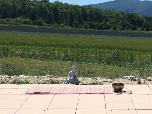 Bed & Breakfast Le Jas Du Mont Ventoux