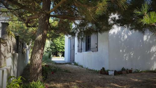 Bed & Breakfast Sea-snow Guest Houses