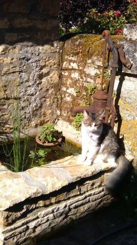 Bed & Breakfast Maison Chaumont