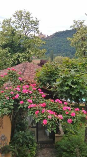 Bed & Breakfast Maison Chaumont