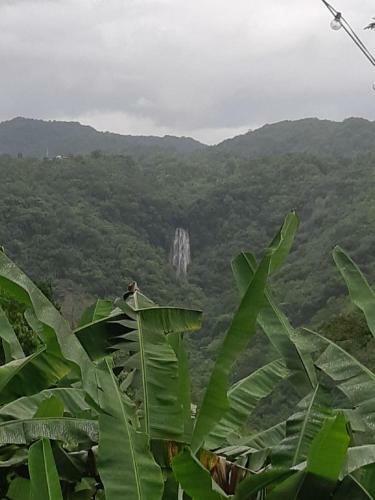 Apartamento Aqualife Cottages 2*rain Forrest View*5min From Beach