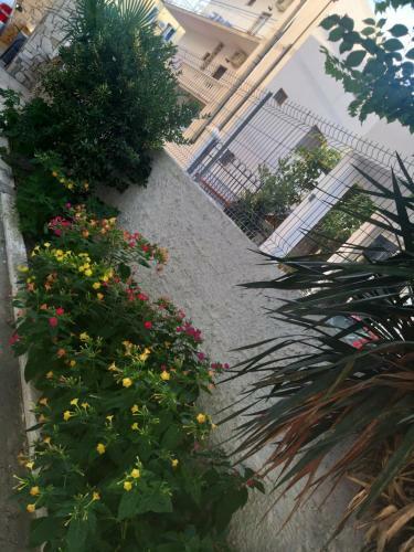 Perdja Apartment Velipoj�