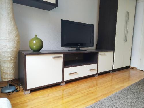 Apartment Vi?njik
