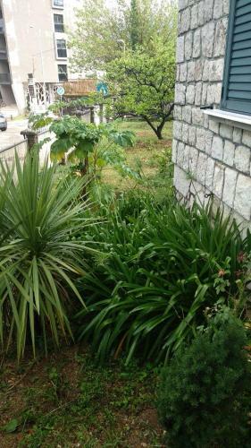 Apartman Kosic