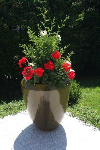 Bed & Breakfast Pension Bergfried