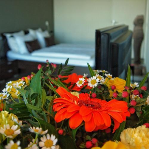 Five Star B&B Amsterdam