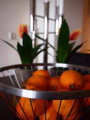 Five Star B&B Amsterdam