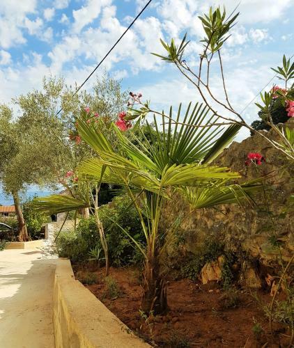 Apartmani Ljerka Malinska