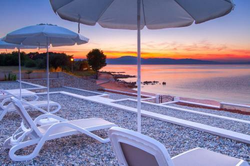 Luxury Apartments Villa Matea 1