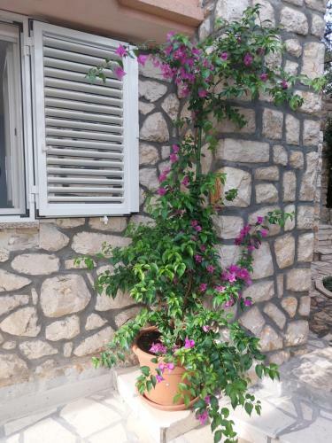 Apartamentos Villa Stefi (30m From The Sea)