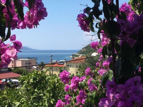 Apartmani Stula