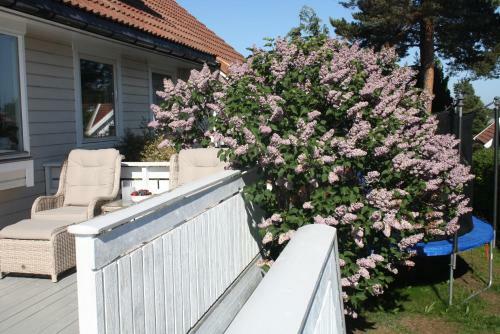 Odderhei, Spacious & Family Friendly House, Sunny Veranda