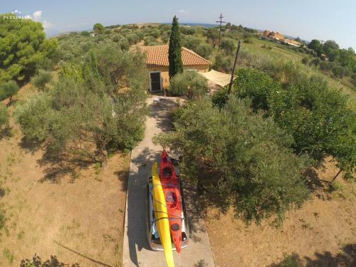 Olive Tree House