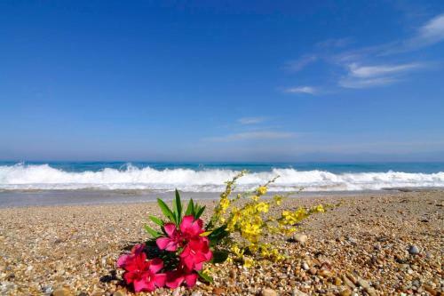 Villa Almyra Beach House Corfu